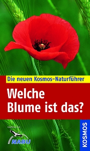 Welche Blume ist das?