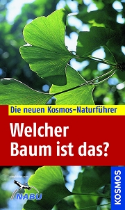 Welcher Baum ist das?