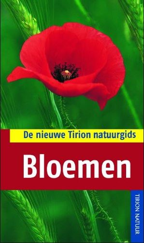 Bloemen