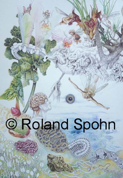 Jeder entfaltet seine eigenen F�higkeiten