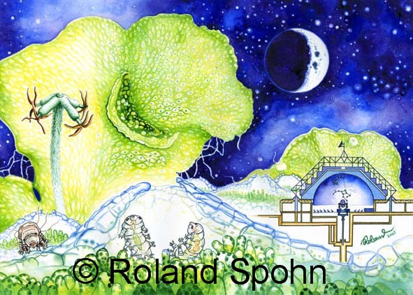 Phasenkontrast, B�rtierchen, Weltall