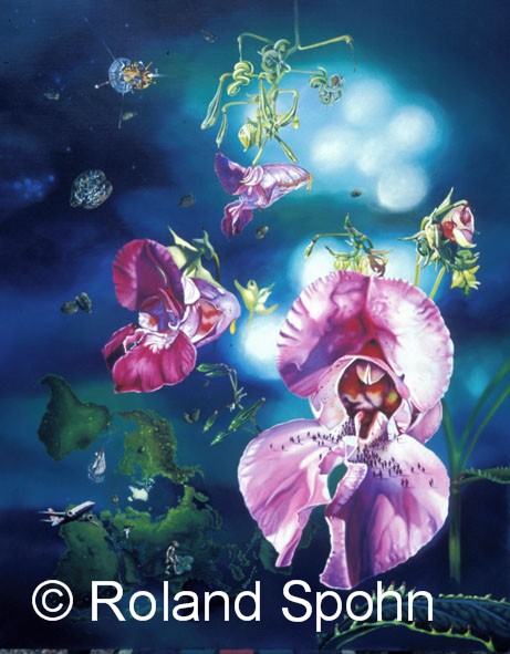 Neub�rger-Springkraut