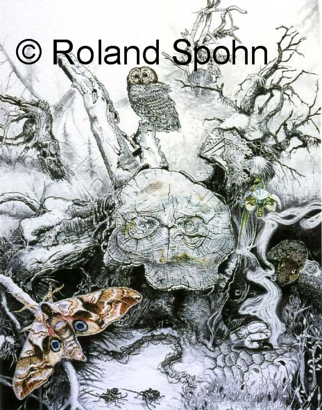 Der Wald sieht alle Deine S�nden