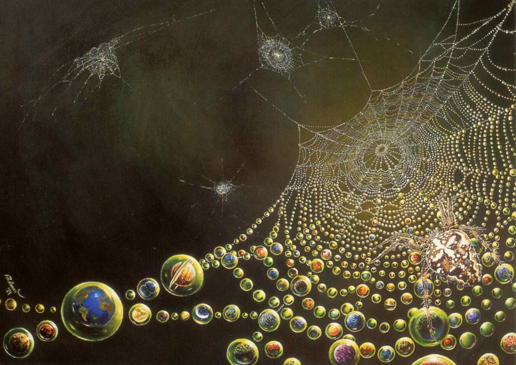 Das uralte M�rchen der Spinnen