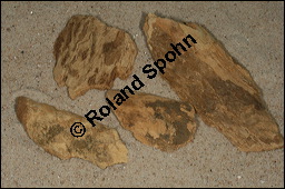 Okoubaka, Okoubaka aubrevillei, Santalaceae, Okoubaka aubrevillei, Okoubaka, getrocknete Rinde Kauf von 00783okoubaka_aubrevilleiimg_5929.jpg