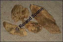 Okoubaka, Okoubaka aubrevillei, Santalaceae, Okoubaka aubrevillei, Okoubaka, getrocknete Rinde Kauf von 00783okoubaka_aubrevilleiimg_5930.jpg