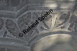 Stiel-Eiche, Sommer-Eiche, Quercus robur, Fagaceae, Quercus robur, Quercus pedunculata, Stiel-Eiche, Sommer-Eiche, Stammausschnitt Kauf von 00871_quercus_robur_dsc_1380.jpg