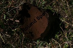 Handkea_utriformis, Basidiomyceten, Handkea utriformis, Calvatia utriformis, Hasen-Stäubling, Hasen-Bovist, Fruchtkörper, alter, aufgeplatzter Fruchtkörper Kauf von 06365handkea_utriformisimg_4466.jpg