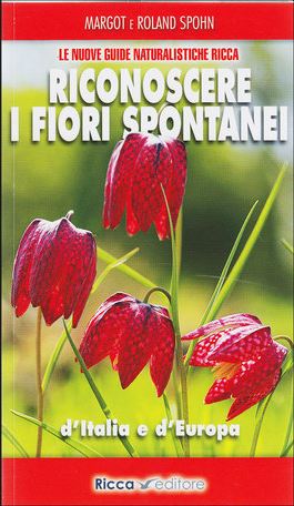 Riconoscere i fiori spontanei