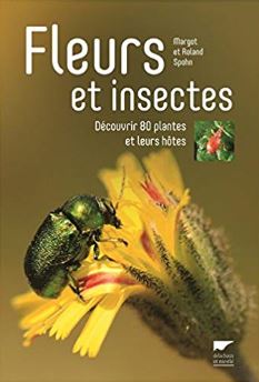 Fleurs et insectes