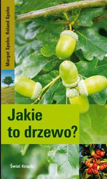 Jakie to drzewo?