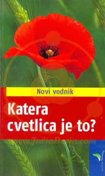 Katera cvetlica je to?