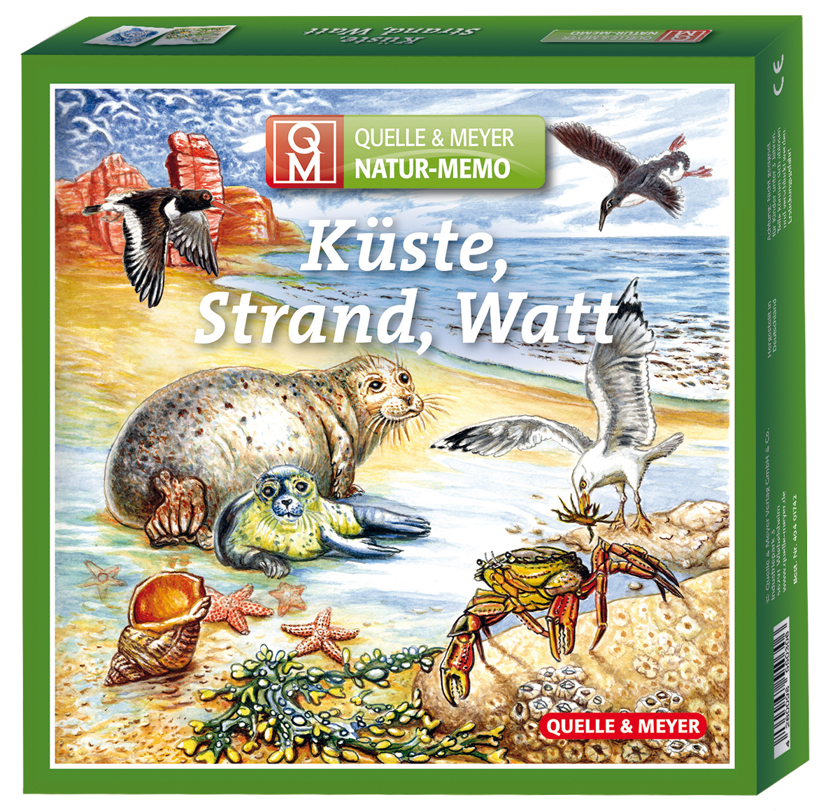 Natur-Memo Kste, Strand, Watt