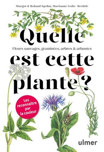 Quelle est cette plante?