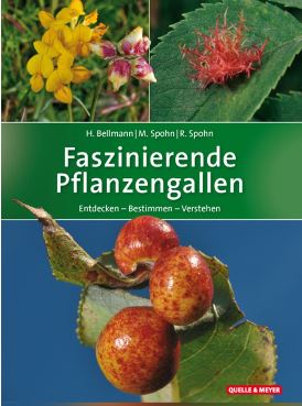 Faszinierende Pflanzengallen