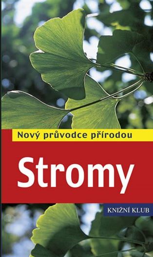 Stromy