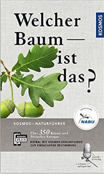 Welcher Baum ist das