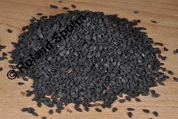 Schwarzer Sesam Saat, Sesamum indicum cv. nigrum, Sesamum indicum cv. nigrum, Schwarzer Sesam Saat, Pedaliaceae, Samen Kauf von 07091_sesamum_indicum_nigrum_dsc_8174.jpg